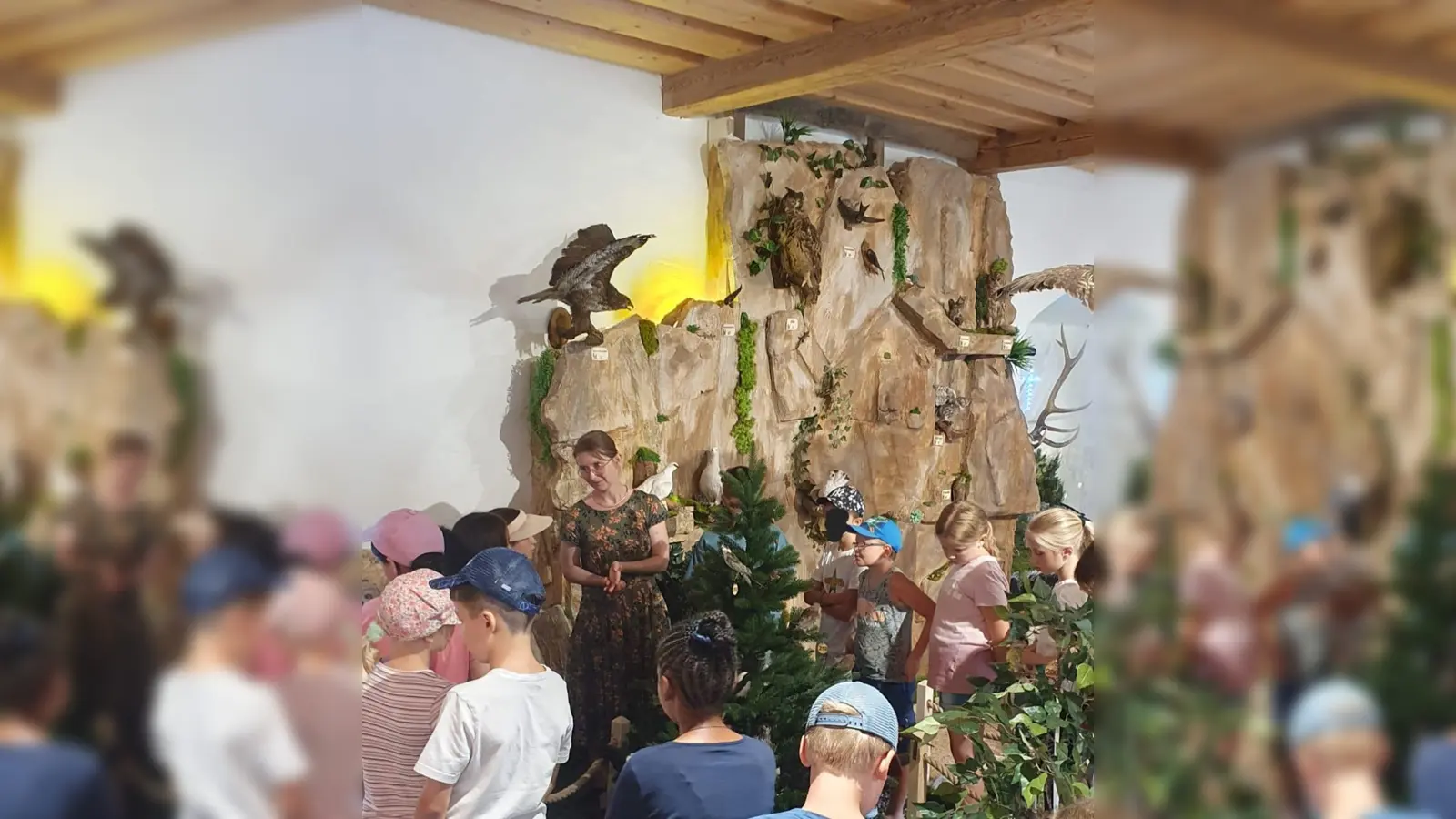 Schüler besuchen das neue Jagdmuseum (Bild: Steffi Köppl)