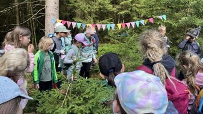 Wandertag der 2. Klassen im Fichtelgeisterwald  (Bild: Jutta Lautenbacher)