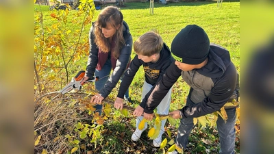 Schüler der Realschule im Stiftland beim Ausprobieren der neuen Astschere (Bild: Julia Lichtinger)