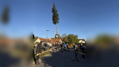 Albersriether Maibaum 2026 (Bild: Franz Völkl)