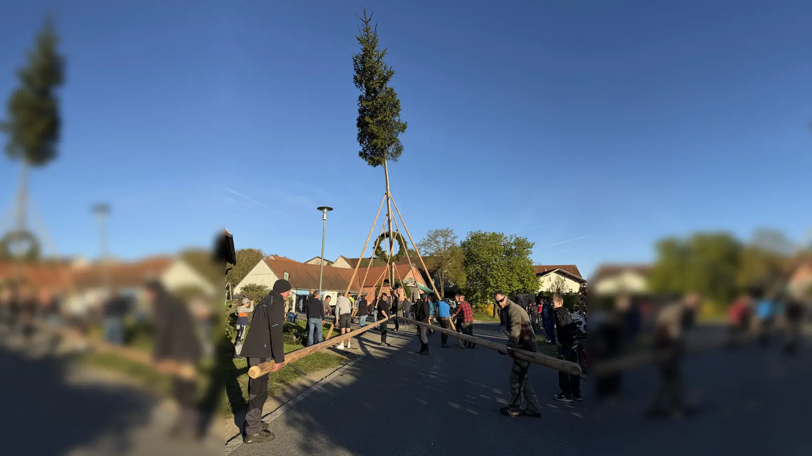 Albersriether Maibaum 2026 (Bild: Franz Völkl)
