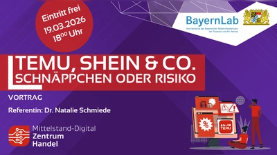 Temu, Shein &amp; Co – Schnäppchen oder Risiko? (Grafik: Britta Heger)