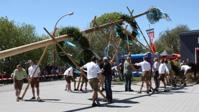 Mit viel Einsatz und echter Teamarbeit wurde der Baum sicher in die Senkrechte gebracht.  (Bild: Bernhard Zimmet)