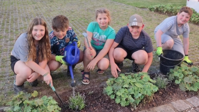 Die Kinder des Gartenbauvereins Glaubendorf-Woppenhof pflanzen Lavendel am Pfarrheimgelände  (Bild: Brigitte Klinger)
