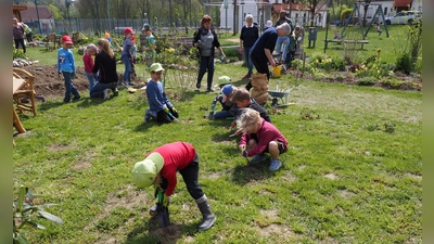 Mit viel Begeisterung erledigten die Kinder die Pflanzarbeiten im Garten. (Bild: Gerd Neumann)