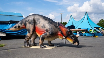 Dinosaurierausstellung in Wunsiedel. (Bild: Justin Freiwald)