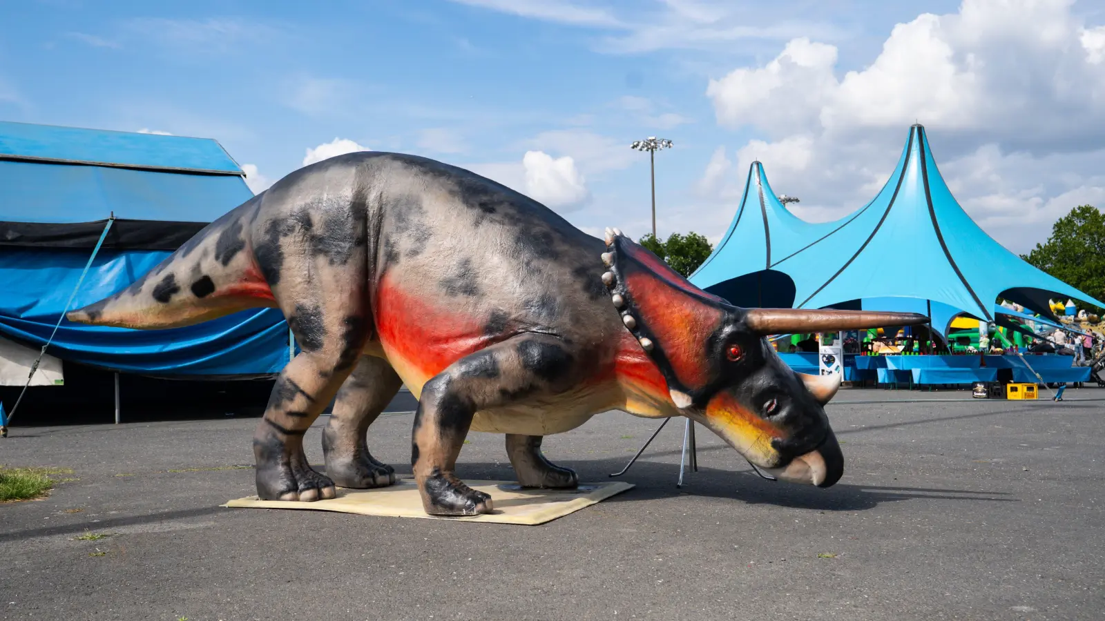 Dinosaurierausstellung in Wunsiedel. (Bild: Justin Freiwald)