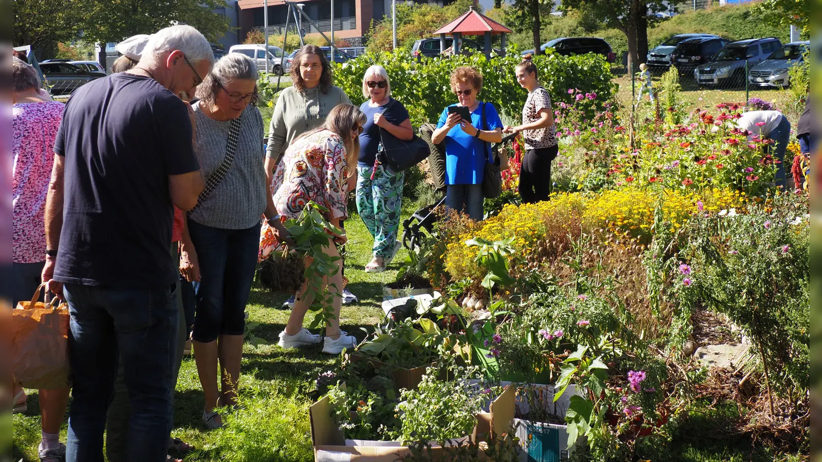 Die angebotenen Pflanzen fanden fast alle einen Abnehmer. (Bild: Gerd Neumann)