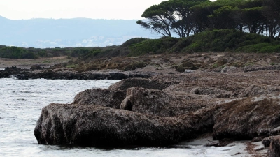 Küstenlandschaft Sardinien. (Bild: Georg Birner)