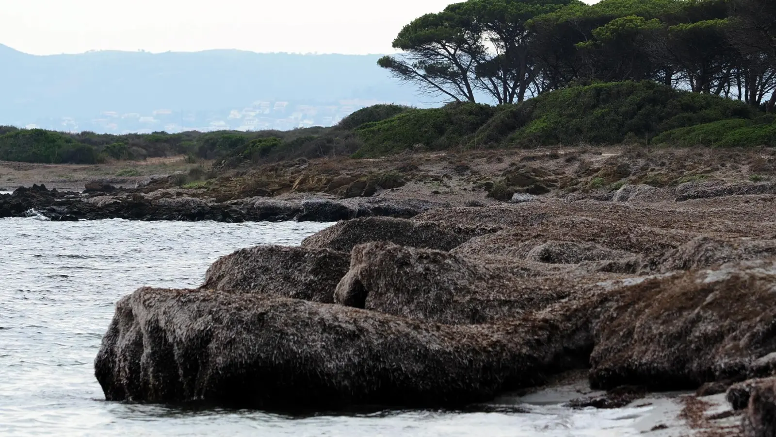 Küstenlandschaft Sardinien. (Bild: Georg Birner)