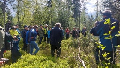 Die Teilnehmer der BN Moorführung im Steinwald mit dem Förster Wolfgang Schödel. (Bild: Doris Burger)