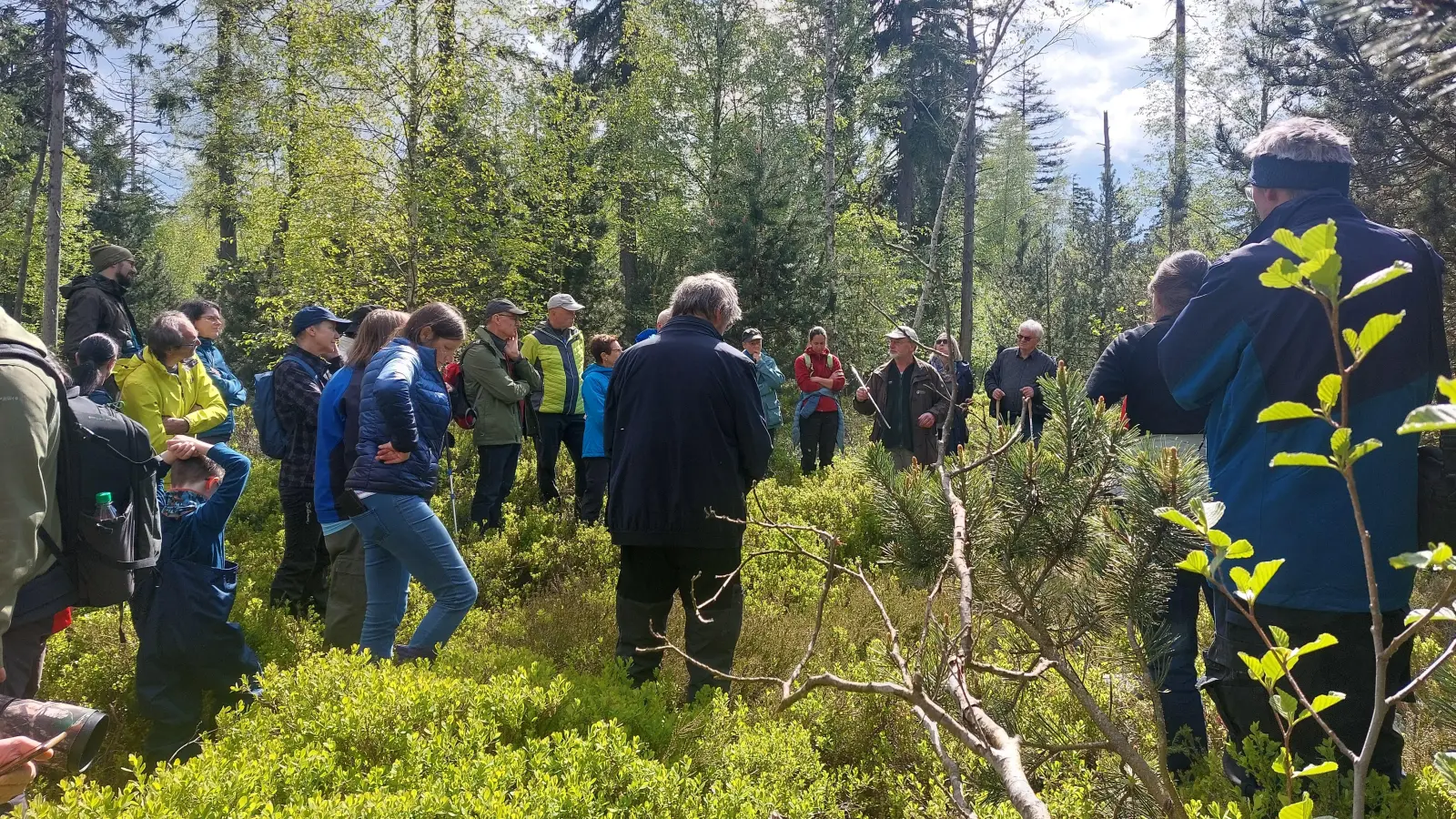 Die Teilnehmer der BN Moorführung im Steinwald mit dem Förster Wolfgang Schödel. (Bild: Doris Burger)
