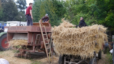 Beim Erntedank im Gagglhof wird mit einer Dreschmaschine aus den 1950er-Jahren gezeigt, wie früher das Getreide gedroschen wurde. (Bild: Josef Leipold)
