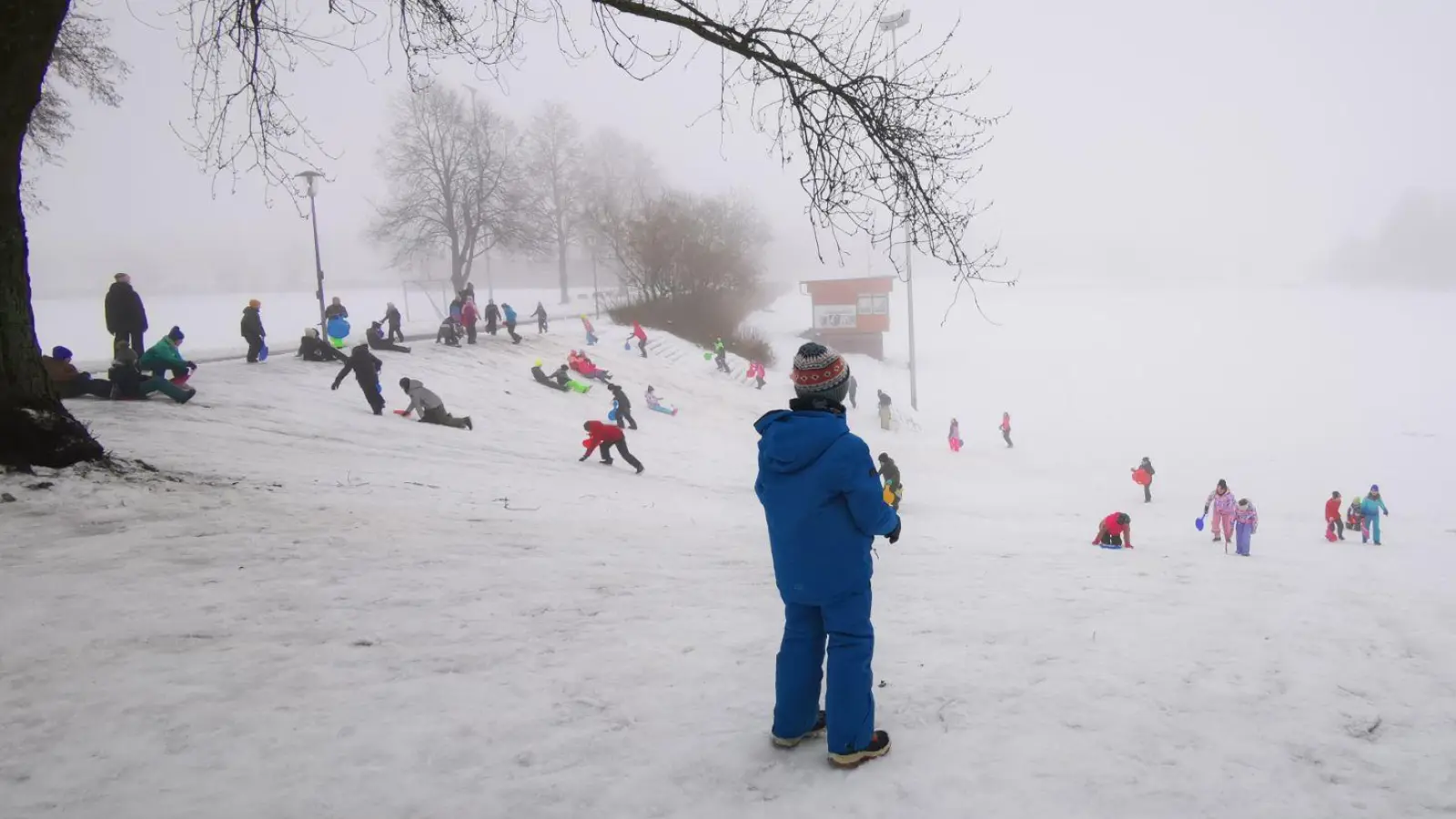 Die Kinder der Grundschule Vohenstrauß beim Schlittenfahren. (Bild: Sandra Graser)