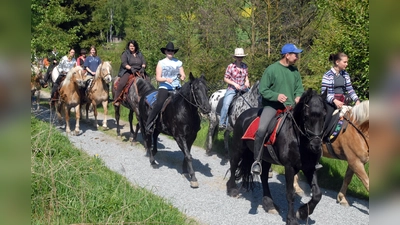 Reiter beim Leonhardiritt in Beidl Pfingsten 2008 (Bild: Alois Bauer)