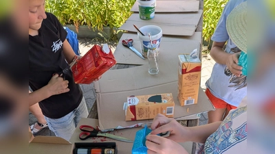 Basteln mit Tetrapack. (Bild: Maria Pilar Bäumler)