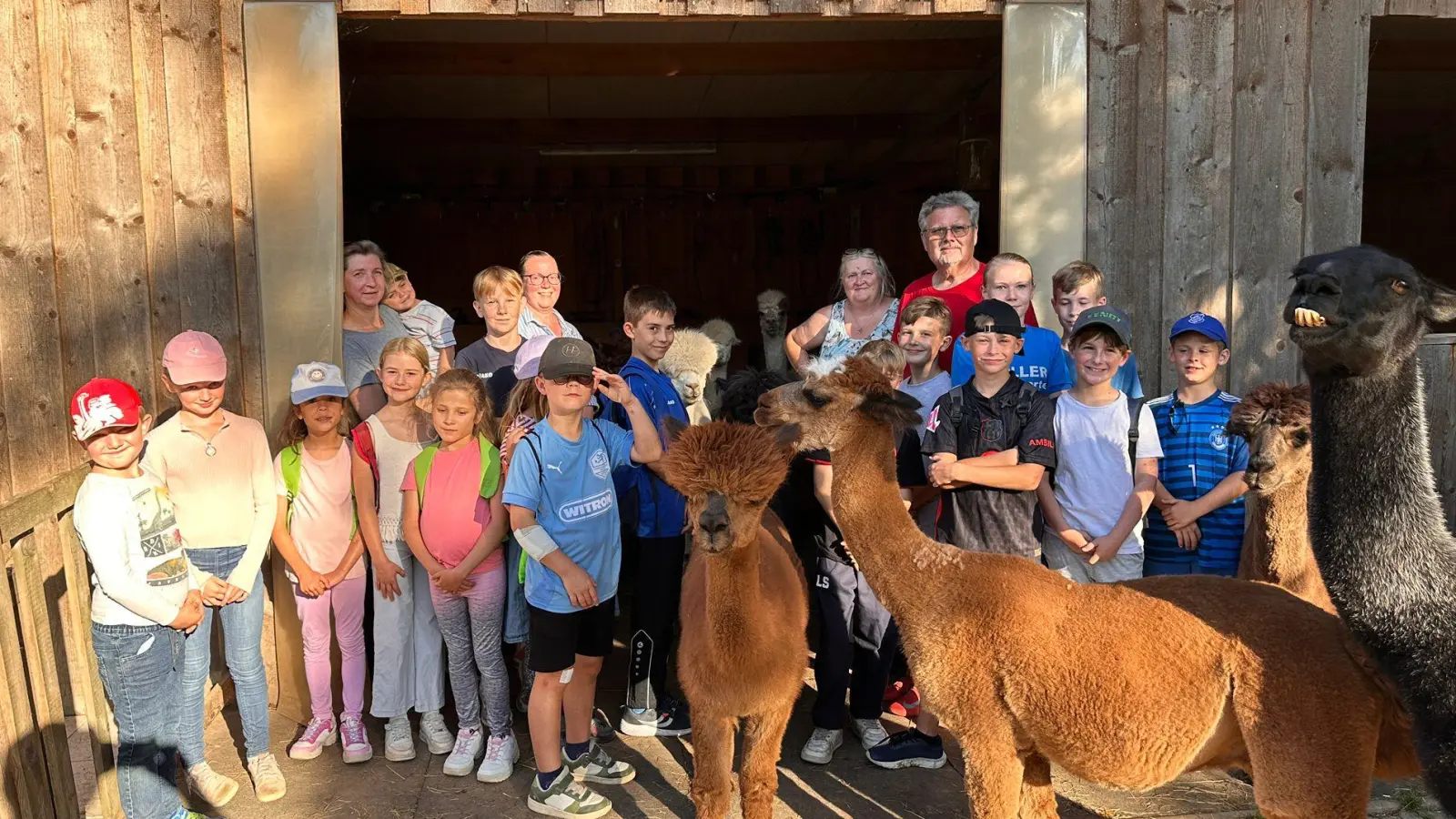 Ein unvergessliches Ferienerlebnis mit den flauschigen Pirker Alpakas  (Bild: Marco Wabra)