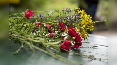 Bild aus Kräuterführerlehrgang (Bild: Johannes Zrenner)