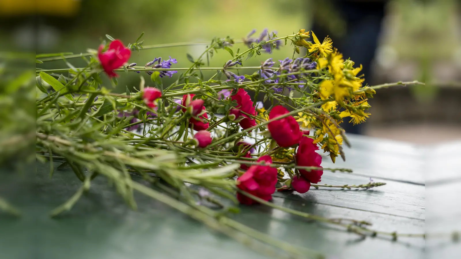 Bild aus Kräuterführerlehrgang (Bild: Johannes Zrenner)