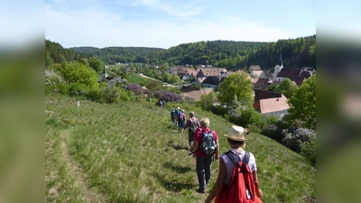 Im Naturpark Hirschwald kann nicht nur gewandert werden. Was er sonst noch zu bieten hat, ist am Sonntag in Ebermannsdorf zu sehen und zu erleben. (Archivbild:  Isabel Lautenschlager)