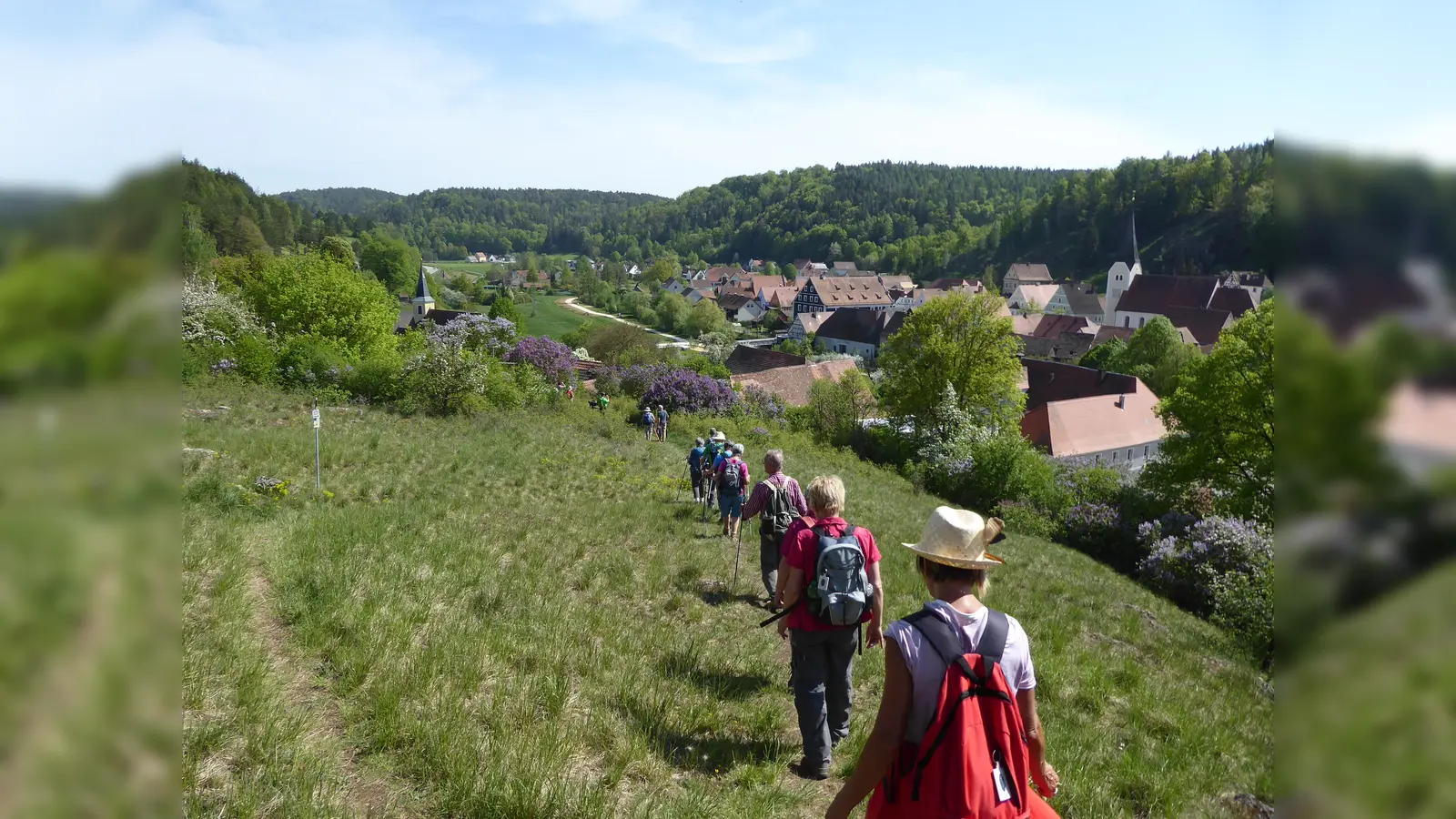 Im Naturpark Hirschwald kann nicht nur gewandert werden. Was er sonst noch zu bieten hat, ist am Sonntag in Ebermannsdorf zu sehen und zu erleben. (Archivbild:  Isabel Lautenschlager)