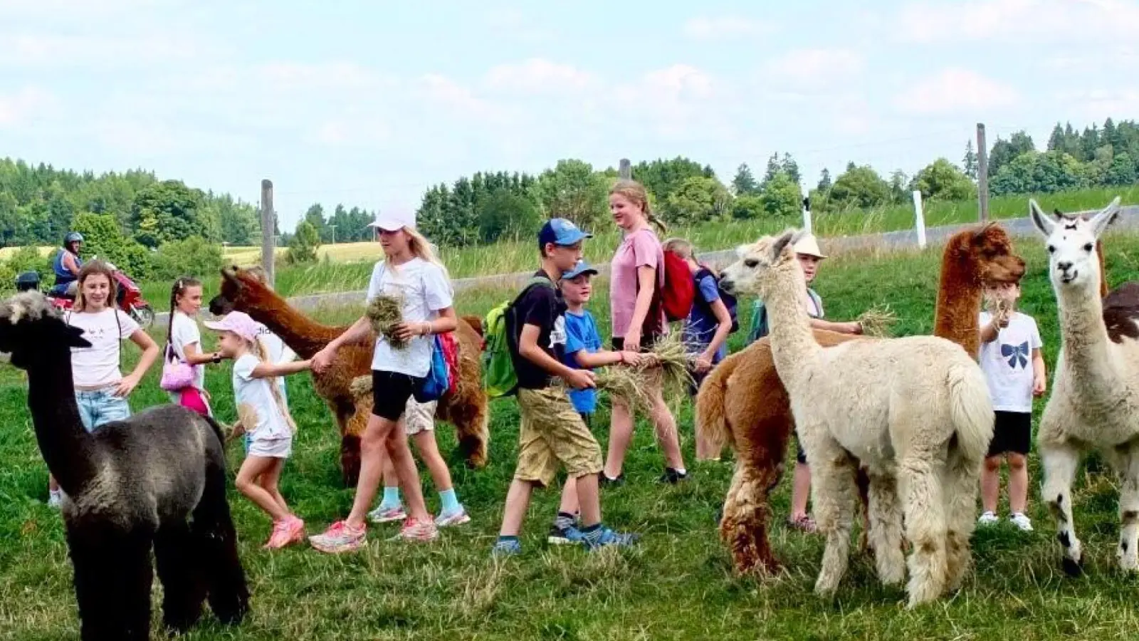 Die Kinder hatten viel Spass beim Füttern! (Bild: Uwe Muckenschnabel)
