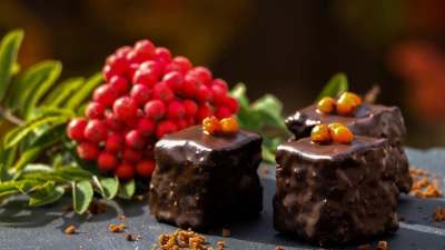 „Wildnisküche - wenn Wildnis Gourmet trifft” startet 2027 in der Umweltstation Waldsassen.  (Bild: Rebekka Müller)
