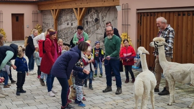 Werner und Günter mit zwei Alpakas im Innenhof  (Bild: Petra Danzer)