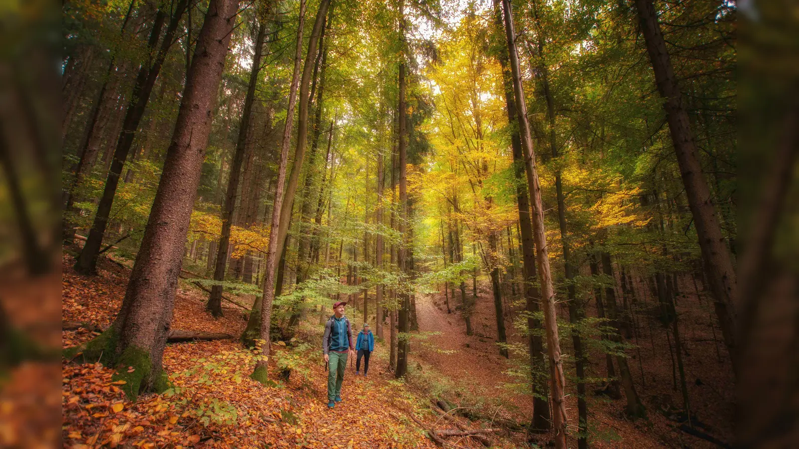 Raus ins Bunte: Goldene Herbsttage laden regelrecht zum Wandern ein. (Bild: Peter Neunteufel)
