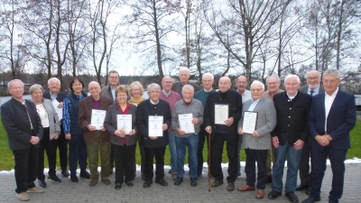 Treue Mitglieder der CSU-Senioren-Union wurden geehrt. Vorne 3. und 4. von rechts die neuen Ehrenmitglieder Walter Schwab und Albert Kick. Ihnen gratulierte das Führungsteam des Kreisverbands und Ehrenvorsitzender Georg Stahl.  (Bild: Siegfried Bock)