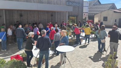 Pflanzentauschbörse des OGV Kulmain im Eingangsbereich des Bürgerhauses. (Bild: Christina Kastner)