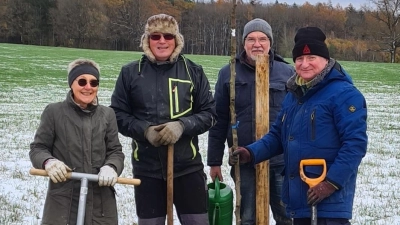 Das Pflanzteam der BN-Ortsgruppe, Maria Bezold, Mario Lutz, Rolf Künstler und Hans-Jürgen Bumes (von links) beim Einsetzen eines Wildobstbaumes auf der Streuobstwiese an der alten Lehmgrube am Nordhang des Mariahilfbergs. Gepflanzt wurden Elsbeere, Speierling, Eberesche, Gute Graue und Morellenfeuer.  (Bild: Rolf Künstler)