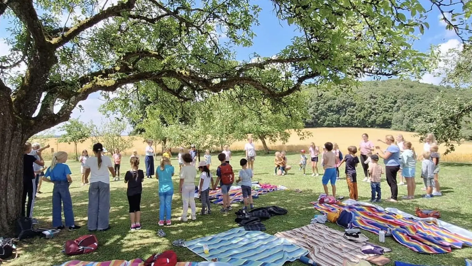 Picknick auf der Obstwiese (Bild: Sandra Henselmann)
