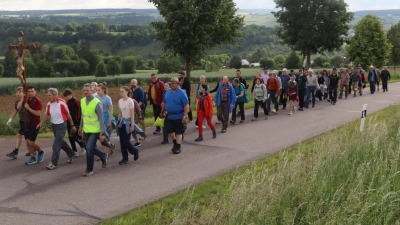 Die Wallfahrer auf dem 323. Pilgerweg von Rieden zum Habsberg. (Bild: Michael Rabenhofer)
