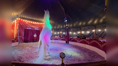 Der Circus Rocky Kindertraum gastiert von 4. bis 6. September am Bauhof in Winklarn. (Bild: QUELLE UNBEKANNT!)