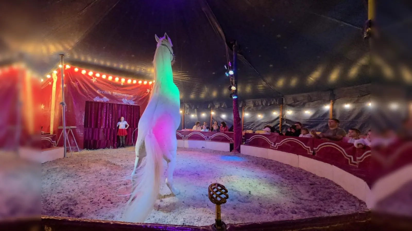 Der Circus Rocky Kindertraum gastiert von 4. bis 6. September am Bauhof in Winklarn. (Bild: QUELLE UNBEKANNT!)