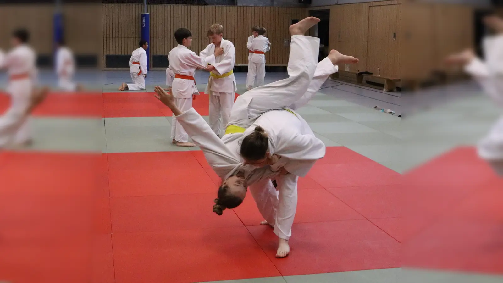 Judowürfe, Haltegriffe und Falltechniken können Kinder und Jugendliche beim Schnuppertraining kennenlernen. (Bild: Susanne Schubert)