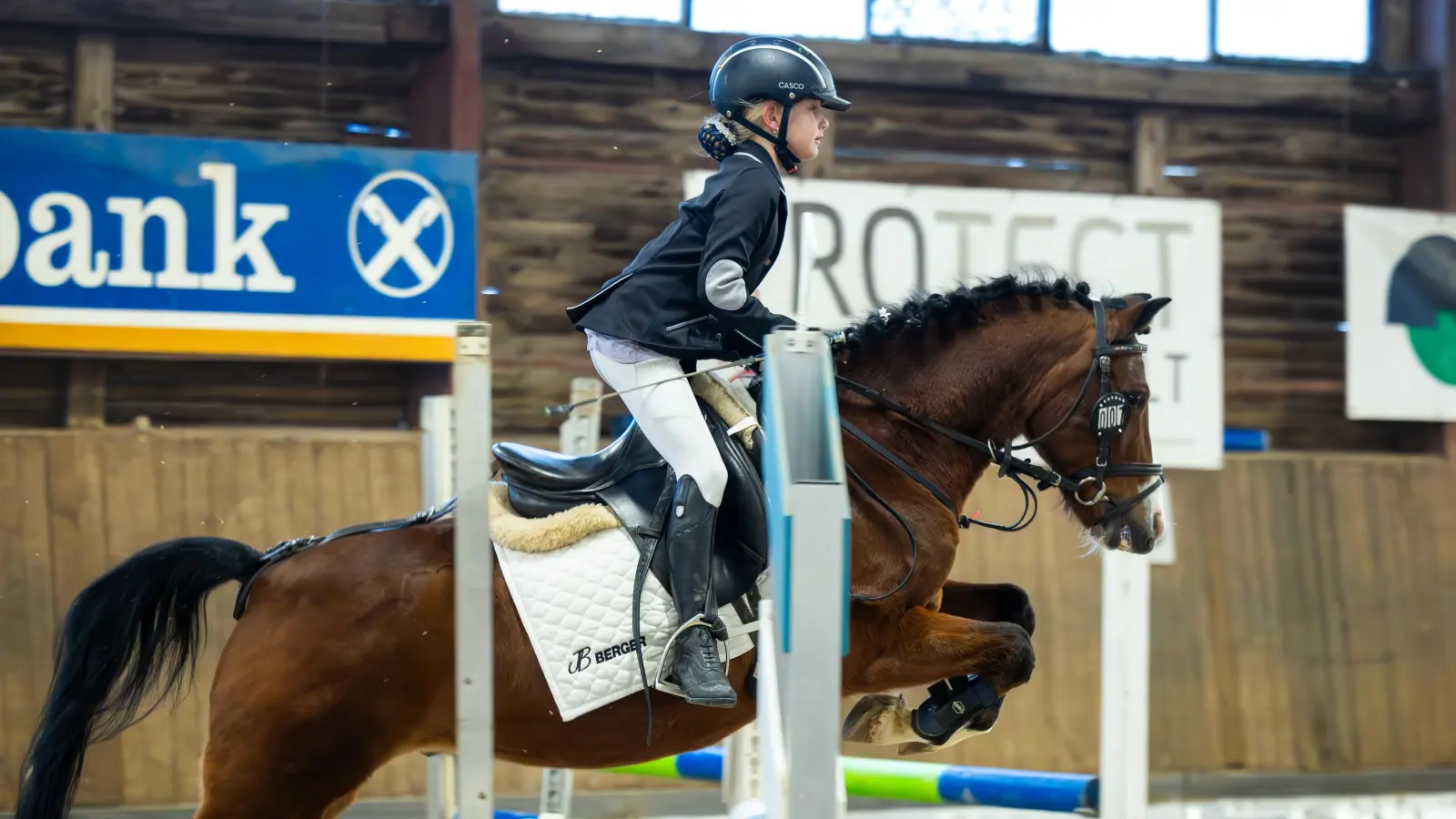 Hohe Sprünge und elegante Dressur beim Dreikönigs-Reitertag. (Bild: Dr. Carmen Lööck)