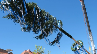 Der Maibaum verschönert jetzt wieder das Herzstück des Marktes am „Röhrkasten“.  (Bild: Fred Lehner)