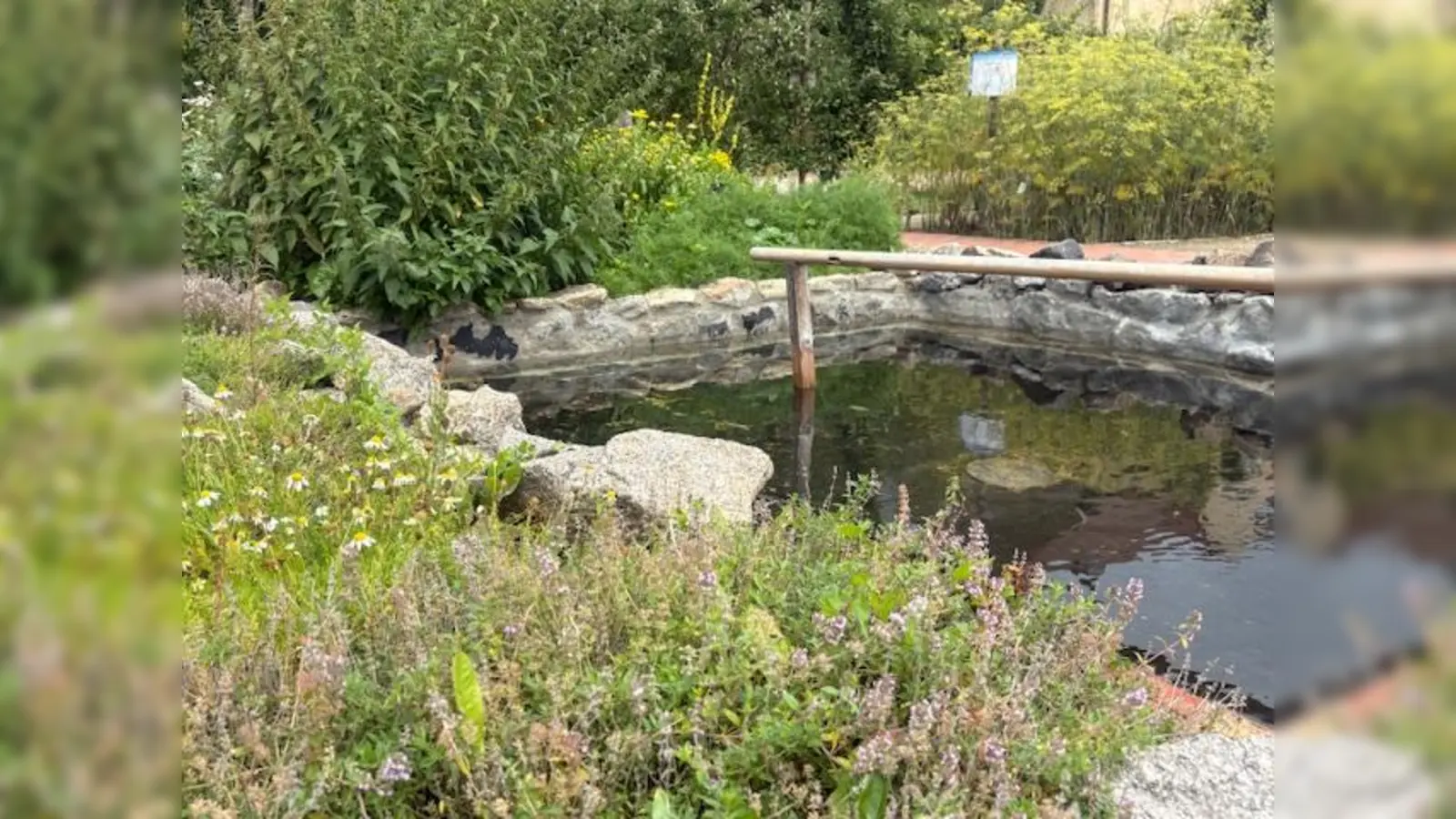 Kneipp-Becken im Kloster- und Naturerlebnisgarten (Bild: Andrea Wührl)