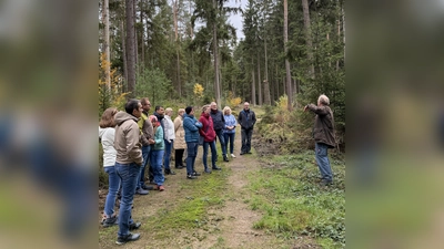 Förster Wolfgang Schödel (r. i.B.) erklärte den Teilnehmern;innen vielerlei Massnahmen den Wald für die Zukunft zu rüsten.  (Bild: Gerd Schönfelder (GS))