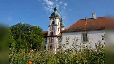 Die Internationale Begegnungsstätte Kloster Speinshart wird im August wieder mehrfach zum Konzertsaal.  (Archivbild: Robert Dotzauer)