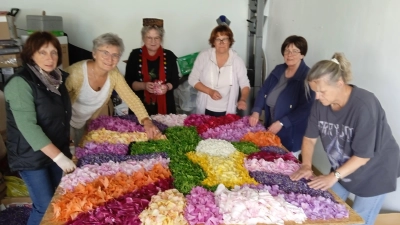 Mitglieder aus dem Führungskreis des Frauenbundes gestalteten beindruckenden Blumenteppich. Karin Nieman, Renate Bock, Christina Kreuzer, Christina Schaller, Christine Wirth und Andrea Mutterer ( von links ). (Bild: Rita Rosner)