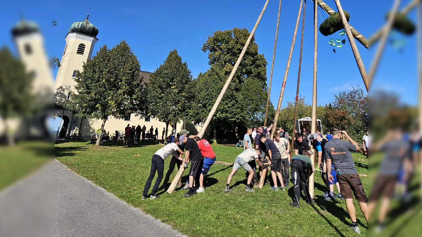 Muskelschmalz war gefordert um die stattliche Fichte in die Senkrechte zu bringen (Bild: Markus Hubmann)