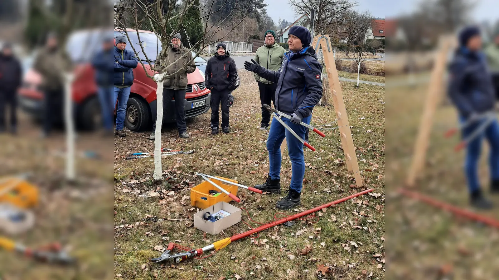 Erziehungsschnitt junger Obstbäume (Bild: Doris Deubzer)