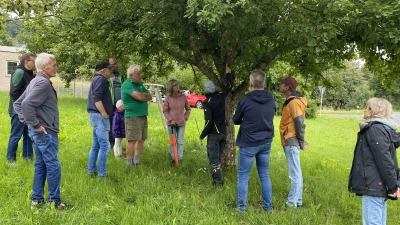 Sommerobstbaumschnitt in der Praxis mit Katharina Hage. (Bild: Karlheinz Schultes)