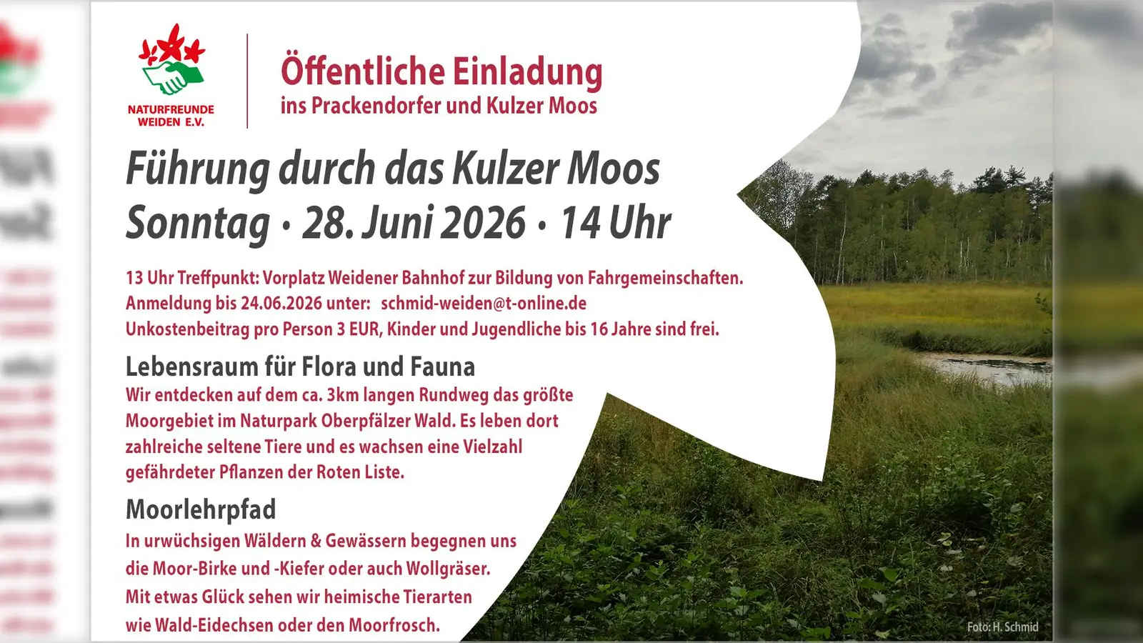 Größtes Moorgebiet im Naturpark Oberpfälzer Wald.  (Bild: Herbert Schmid)