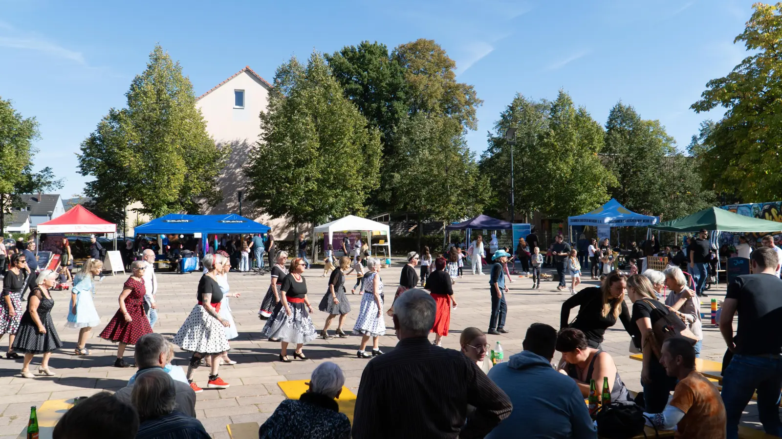 „Oldies but Goldies” Linedance im 50er Jahre Stil und im Hintergrund einige der beteiligten Vereine (Bild: Levidsigns)