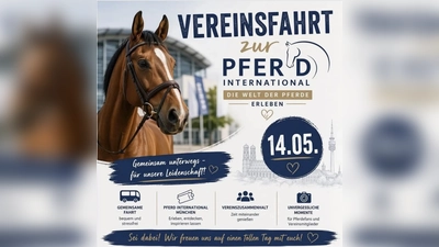 Busfahrt zur Pferd International (Bildmontage: KI)