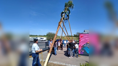 Beim gemeinsamen Frühlingsfest der Doktor-Eisenbarth-Mittelschule und den Oberviechtacher Werkstätten wurde heuer auch wieder ein Maibaum in die Höhe gewuchtet, gemäß dem Wahlspruch des Projekts: „Wir packen´s miteinander an, jeder wie er kann.”  (Bild: Werner Winderl)